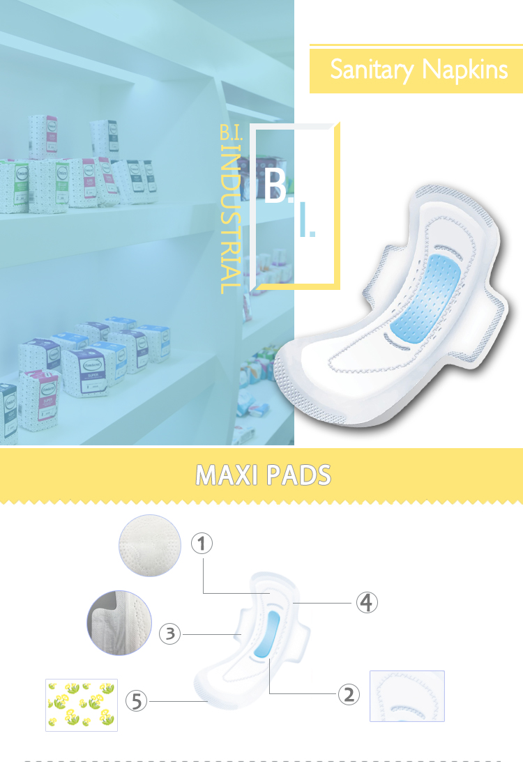 Sanitary Pads public reference photo